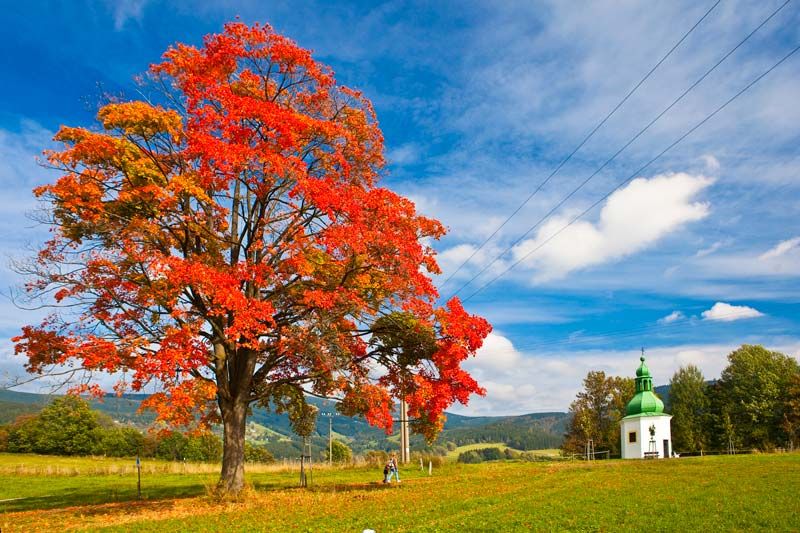 Rokytnice nad Jizerou - kaplička